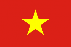 vn