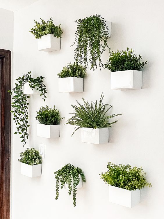 Cây cối treo tường tạo không gian xanh mát trong nhà