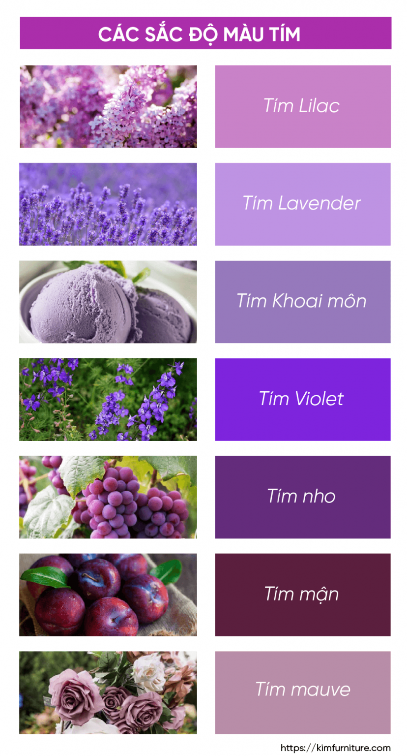 45+ mẫu phòng ngủ màu tím mộng mơ được yêu thích nhất 2022