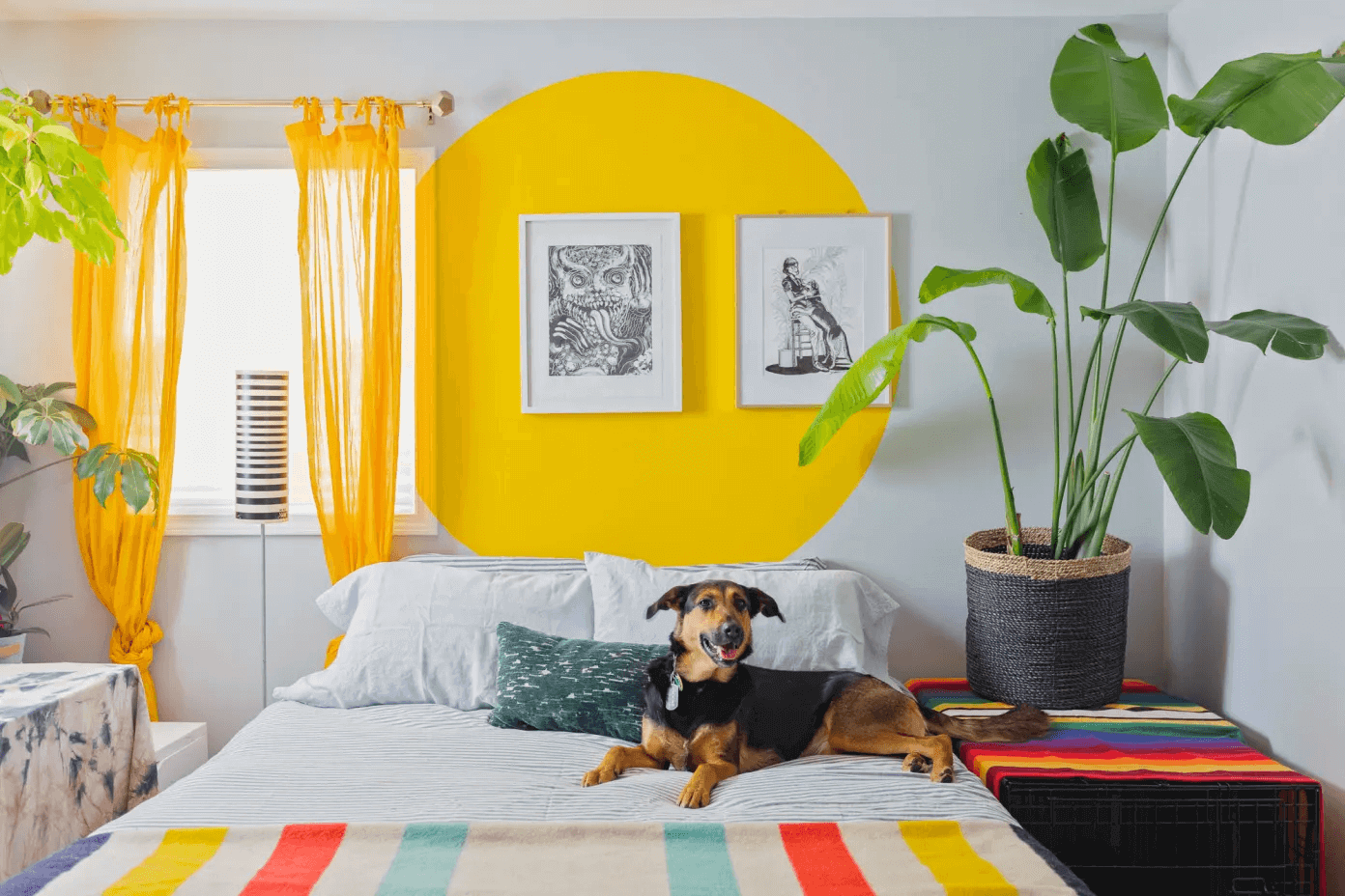 phòng ngủ màu vàng chanh
