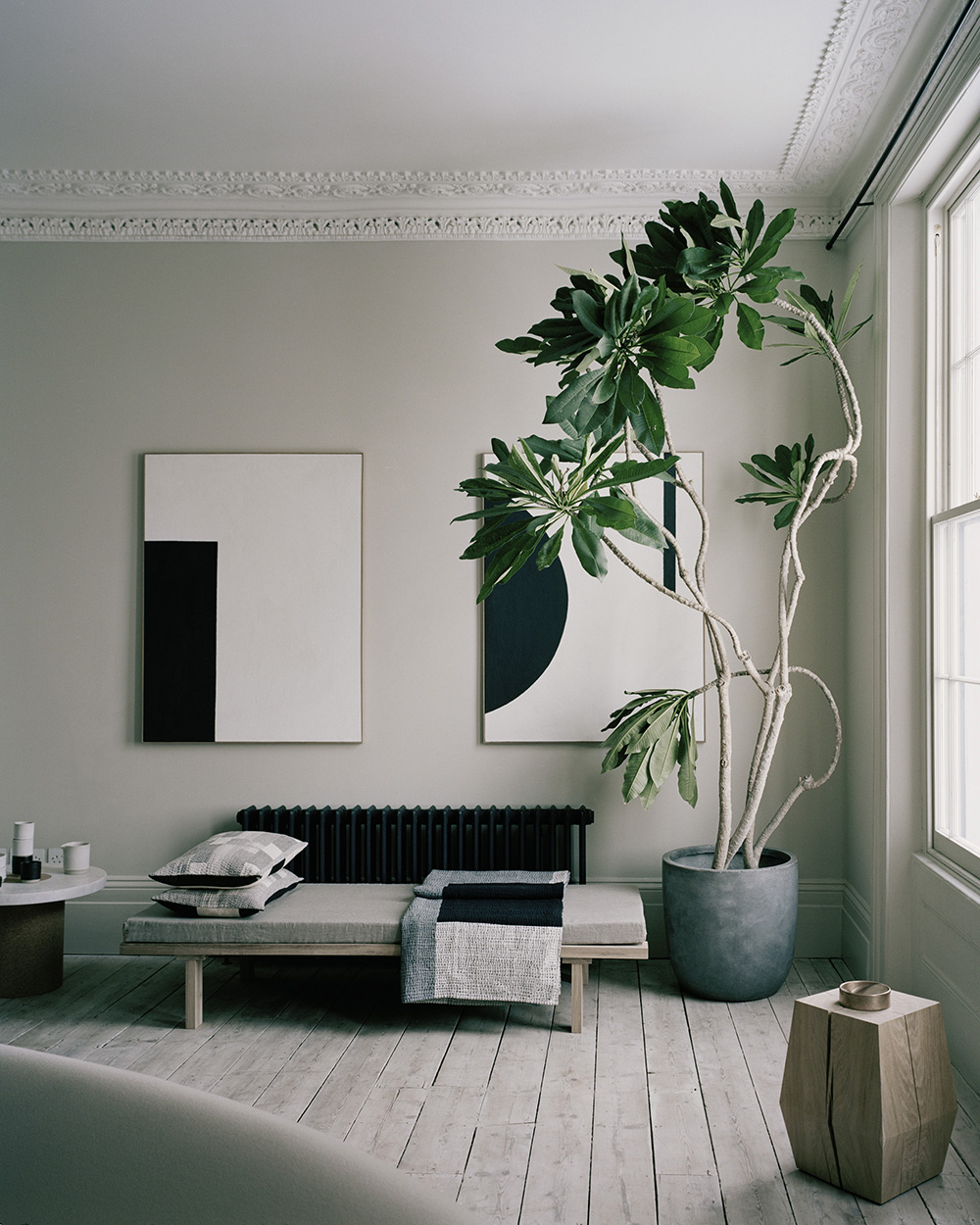 Một thiết kế phòng khách màu xanh lá cây xám đơn giản mà đẹp