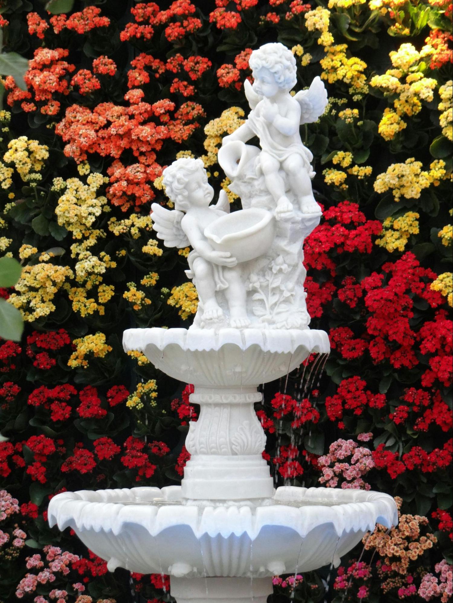 thiết kế sân vườn đẹp