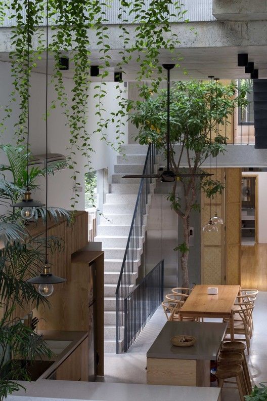 thiết kế nhà phố